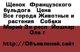 Щенок  Французского бульдога › Цена ­ 35 000 - Все города Животные и растения » Собаки   . Марий Эл респ.,Йошкар-Ола г.